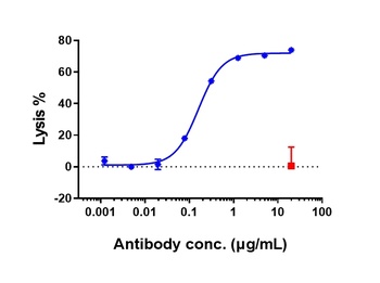 CD20 Antibody
