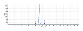 CD19 Antibody