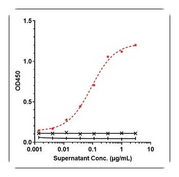 CD19 Antibody