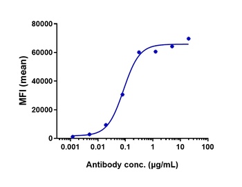 CD19 Antibody