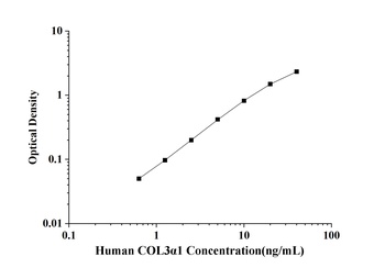 Human Collagen Type Ⅲ Alpha 1 (COL3α1) ELISA Kit