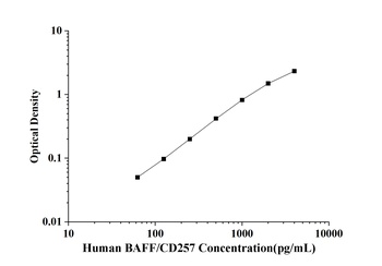 Human B-Cell Activating Factor (BAFF/CD257) ELISA Kit
