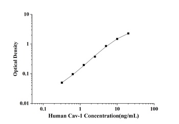 Human Caveolin-1 (Cav-1) ELISA Kit