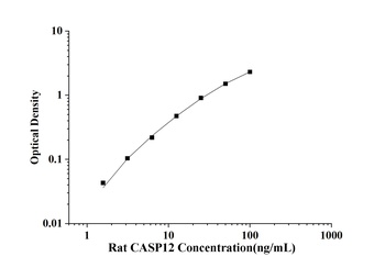 Rat Caspase 12 (CASP12) ELISA Kit