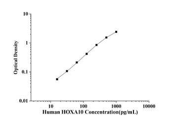 Human Homeobox protein Hox-A10 (HOXA10) ELISA Kit