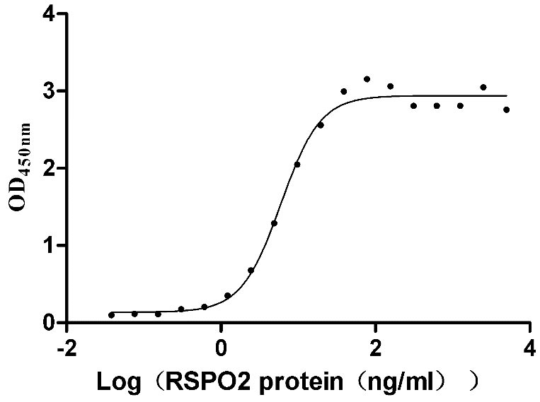 Recombinant Human E3 ubiquitin-protein ligase ZNRF3 (ZNRF3), partial (Active)