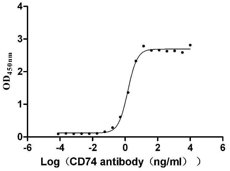 Recombinant Human HLA class II histocompatibility antigen gamma chain (CD74), partial (Active)