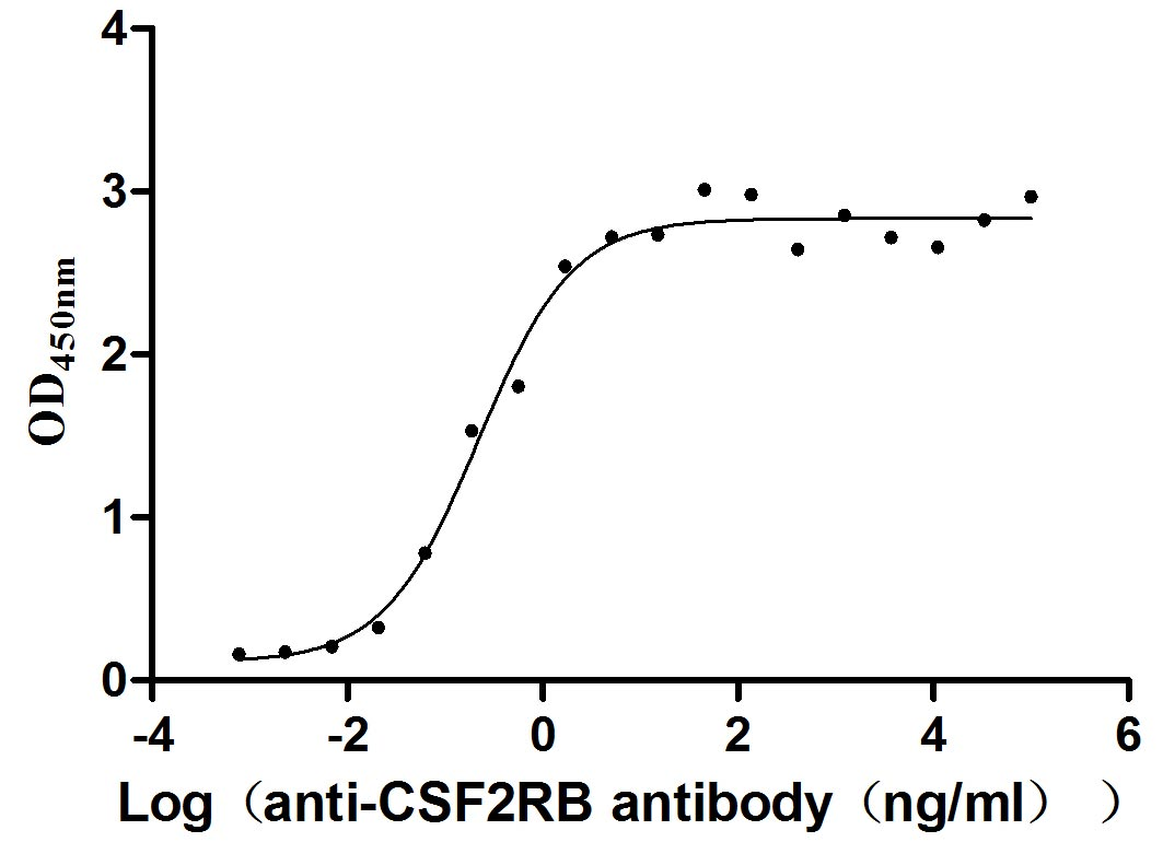 Recombinant Human Cytokine receptor common subunit beta (CSF2RB), partial (Active)