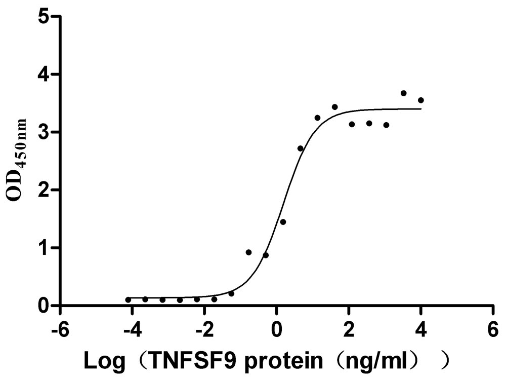 Recombinant Human Tumor necrosis factor receptor superfamily member 9 (TNFRSF9), partial (Active)