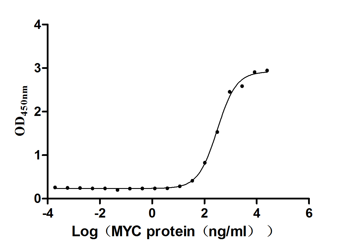 Recombinant Human papillomavirus type 16 Protein E7 (E7) (Active)