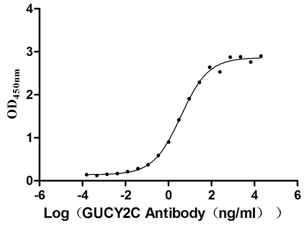 Recombinant Human Heat-stable enterotoxin receptor (GUCY2C), partial (Active)