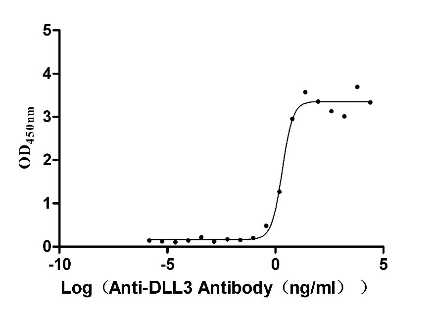 Recombinant Macaca fascicularis Delta-like protein 3 (DLL3), partial (Active)
