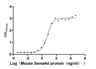 Recombinant Mouse Semaphorin-4D (Sema4d), partial (Active)