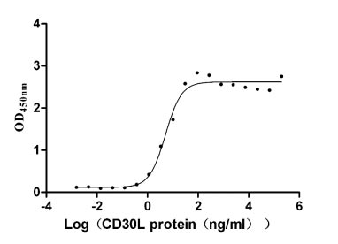 Recombinant Human Tumor necrosis factor ligand superfamily member 8 (TNFSF8), partial (Active)
