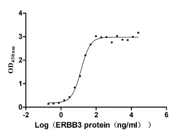 Recombinant Human Receptor tyrosine-protein kinase erbB-3 (ERBB3), partial (Active)