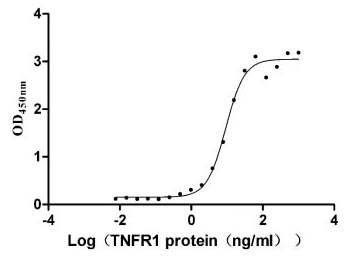 Recombinant Human Tumor necrosis factor receptor superfamily member 1A (TNFRSF1A), partial (Active)