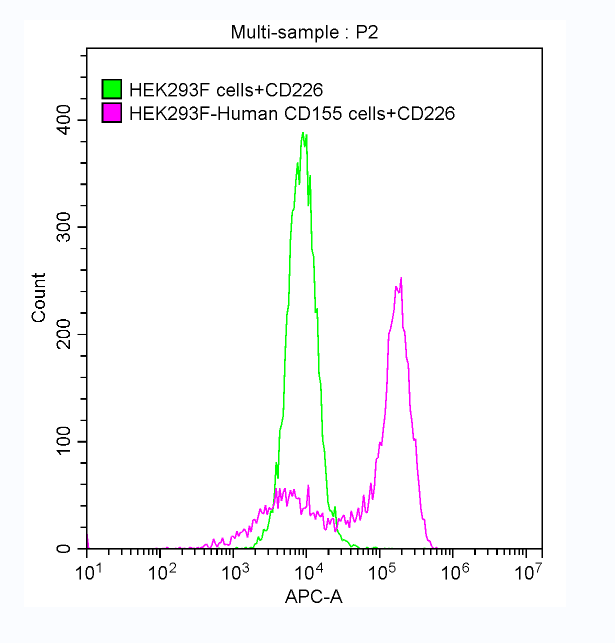 Recombinant Human CD226 antigen (CD226), partial (Active)