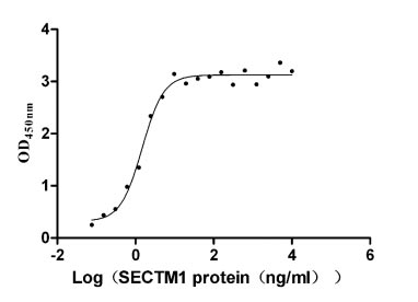 Recombinant Human T-cell antigen CD7 (CD7), partial (Active)