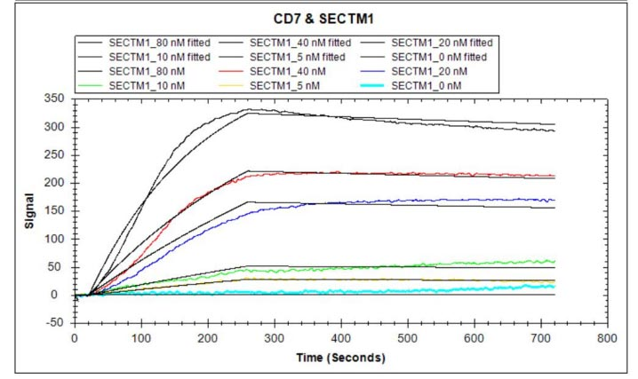 Recombinant Human T-cell antigen CD7 (CD7), partial (Active)