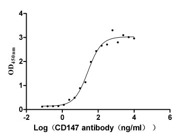 Recombinant Human Basigin (BSG), partial (Active)