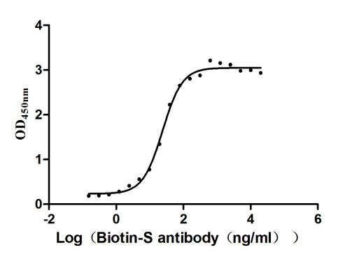 Recombinant Human Novel Coronavirus Spike glycoprotein(S) (E484K),partial (Active)