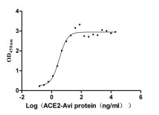 Recombinant Human Novel Coronavirus Spike glycoprotein(S) (N501Y),partial (Active)
