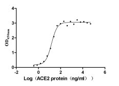 Recombinant Human Novel Coronavirus Spike glycoprotein(S) (N501Y),partial (Active)