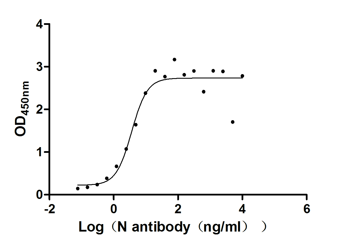 Recombinant Human Novel Coronavirus Nucleoprotein(N)(D3L,R203K,G204R,S235F) (Active)