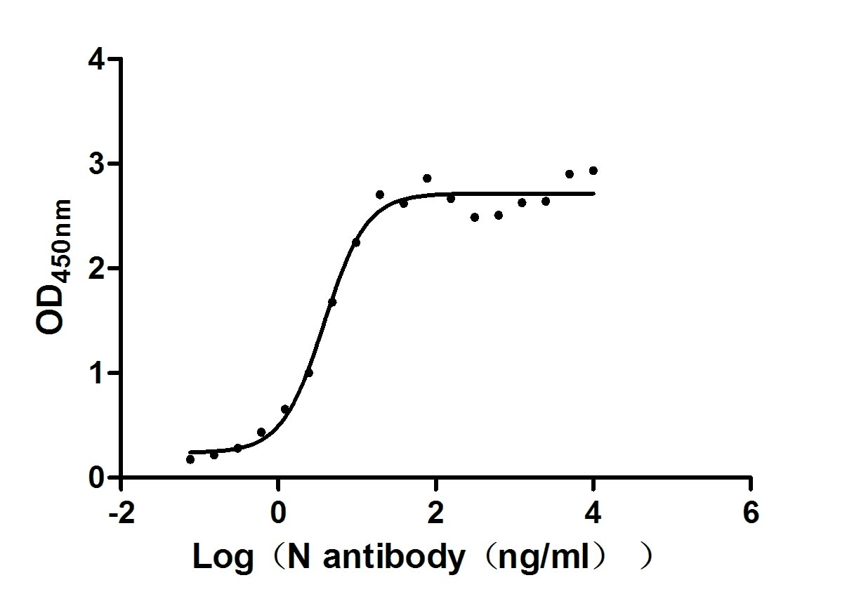 Recombinant Human Novel Coronavirus Nucleoprotein(N)(P13L) (Active)