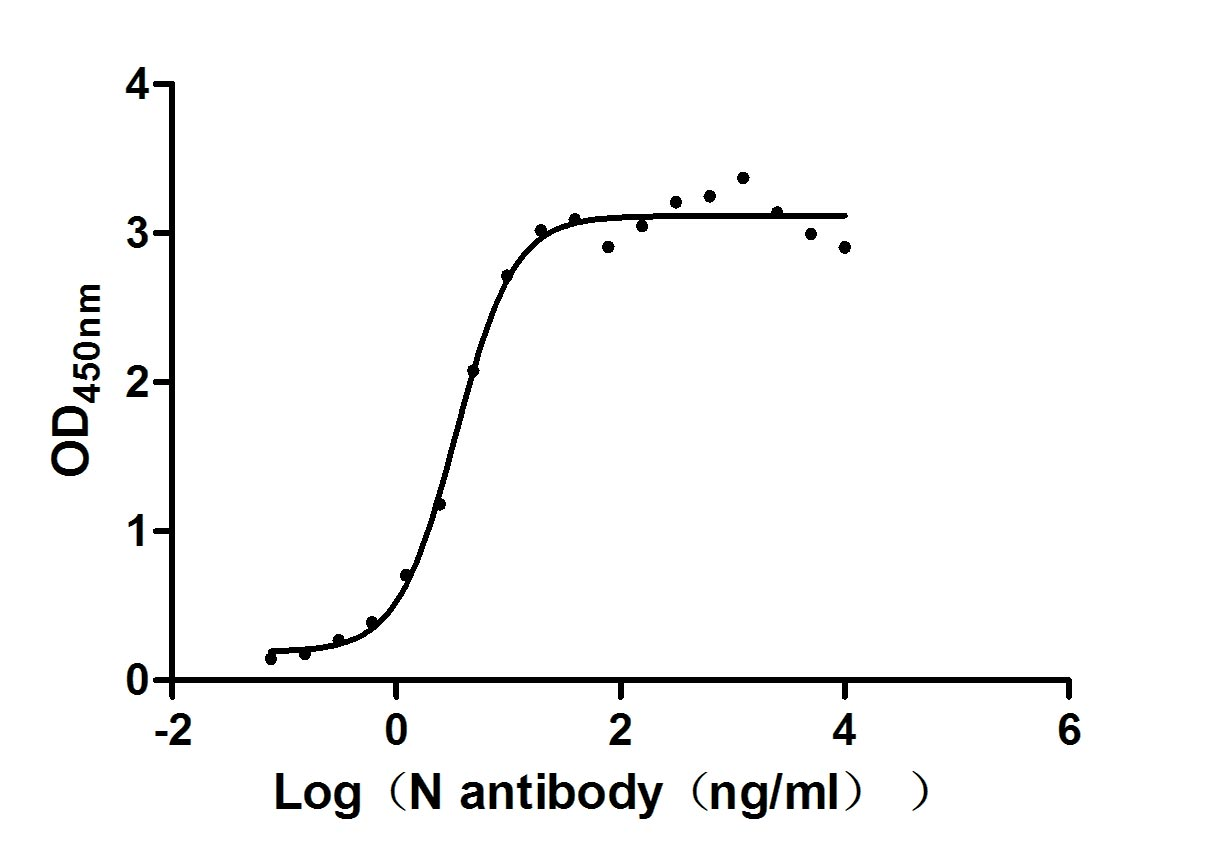 Recombinant Human Novel Coronavirus Nucleoprotein(N)(P13L) (Active)