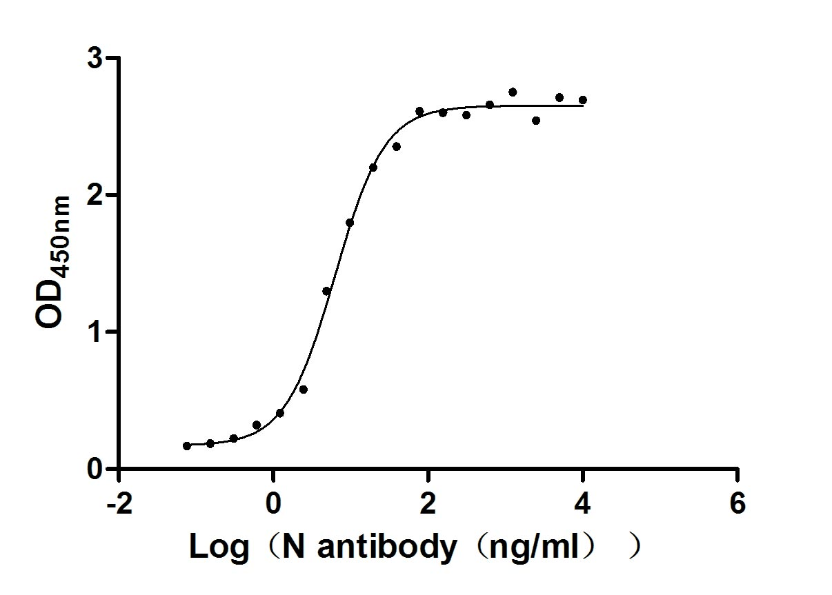 Recombinant Human Novel Coronavirus Nucleoprotein(N)(T205I) (Active)