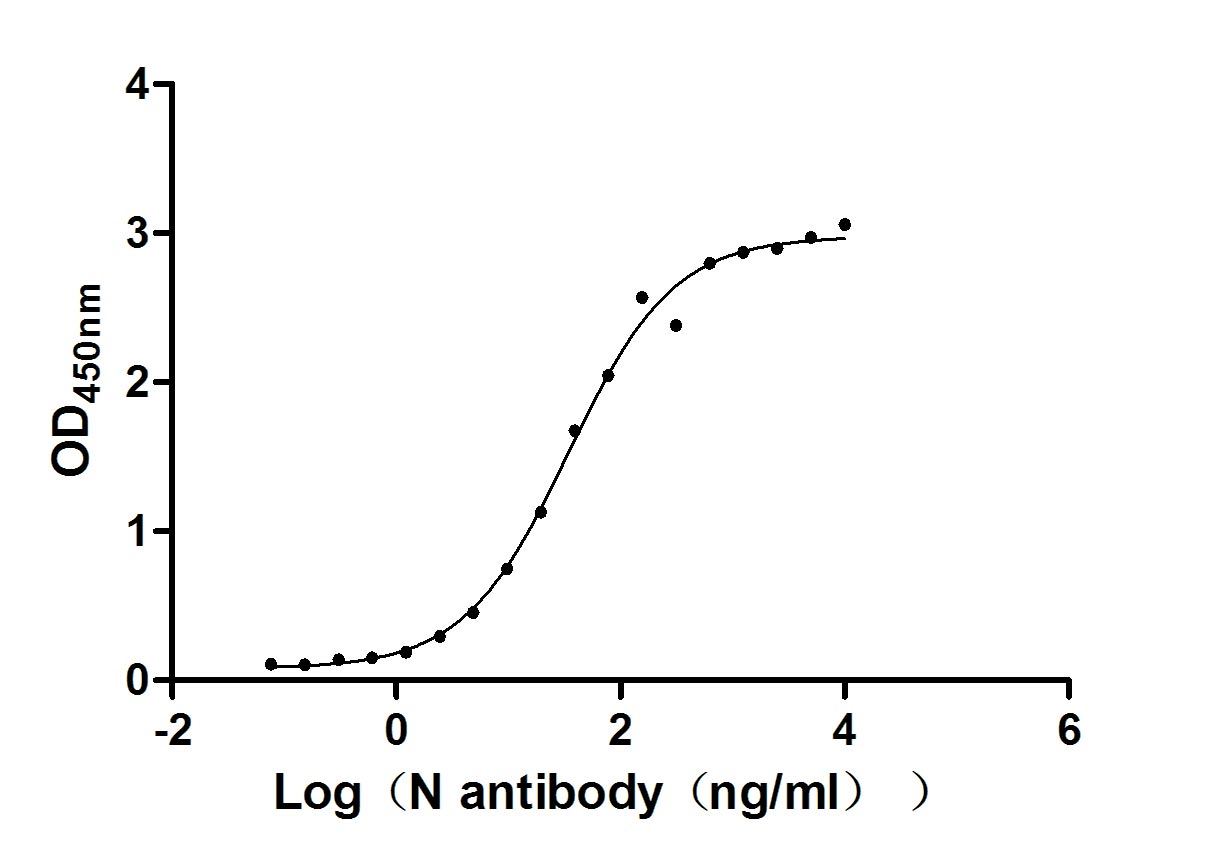 Recombinant Human Novel Coronavirus Nucleoprotein(N)(T205I) (Active)