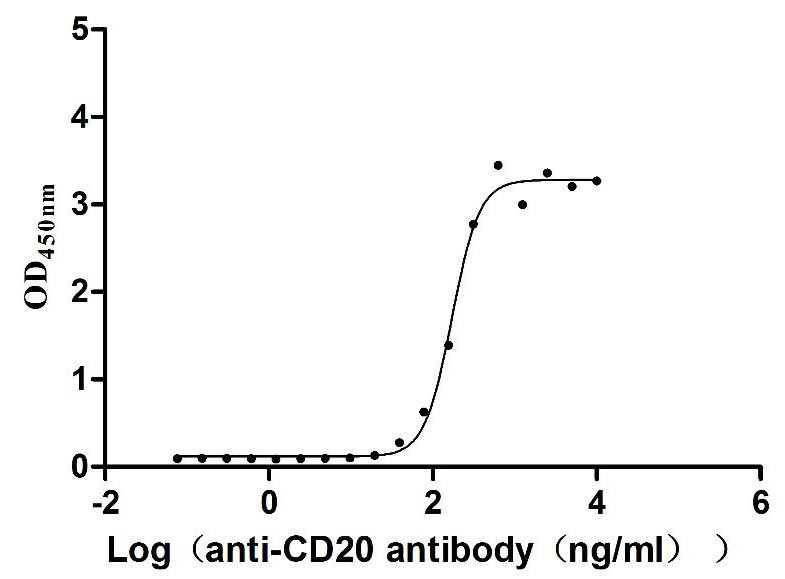 MS4A1-VLPs Protein
