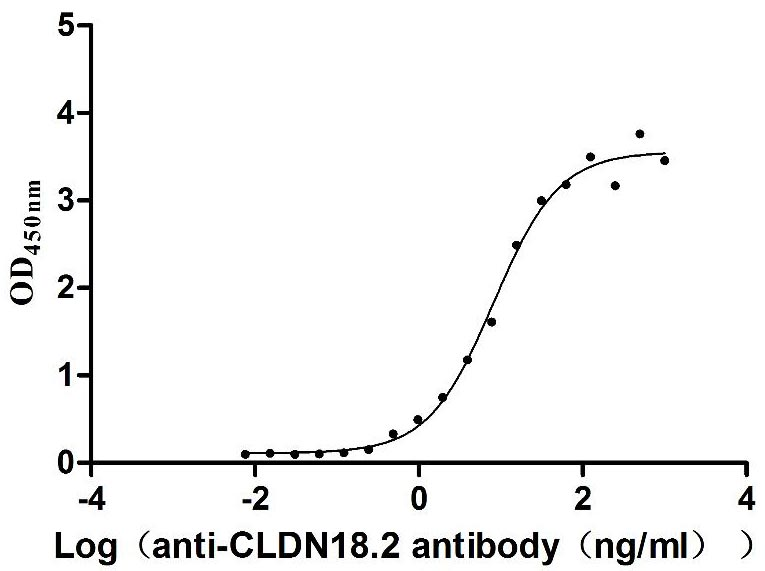 Mouse Cldn18-VLPs Protein