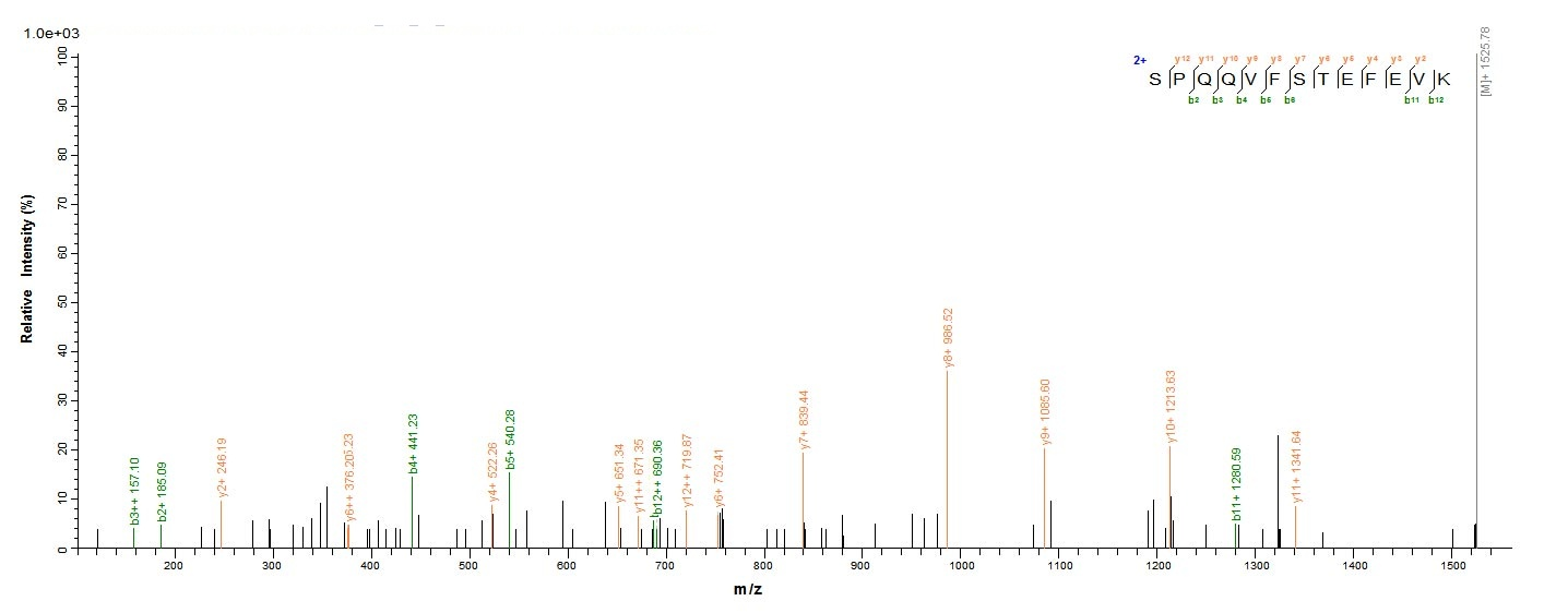 Human Complement C3 Protein