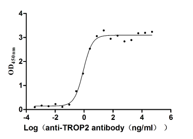 Recombinant Human Tumor-associated calcium signal transducer 2 (TACSTD2), partial (Active)