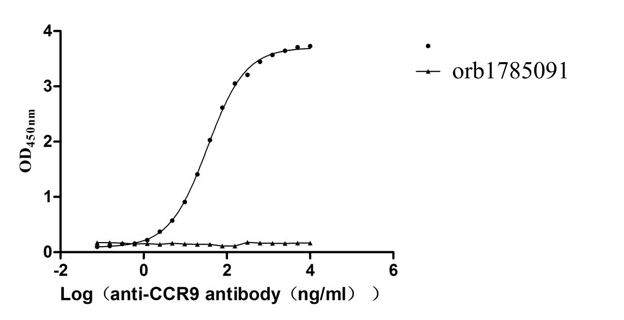 Recombinant Human C-C chemokine receptor type 9 (CCR9)-VLPs (Active)