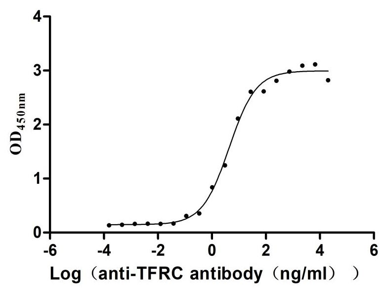 Recombinant Human Transferrin receptor protein 1 (TFRC), partial (Active)