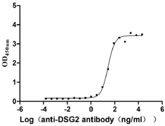Recombinant Human Desmoglein-2 (DSG2), partial (Active)