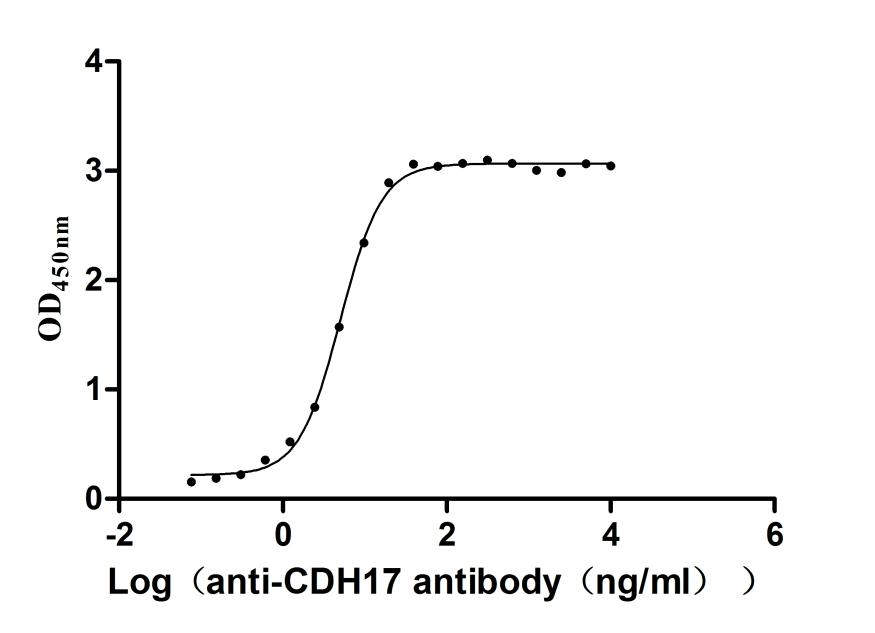 Recombinant Macaca fascicularis Cadherin 17 (CDH17), partial (Active)