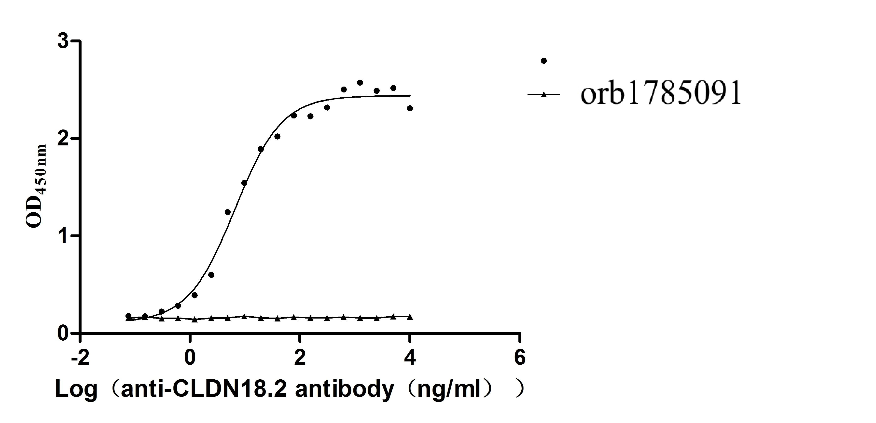 Recombinant Human Claudin-18.2 (CLDN18.2), Fluorescent-VLPs (Active)