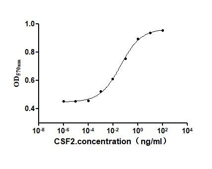 Recombinant Human Granulocyte-macrophage colony-stimulating factor (CSF2) (Active)