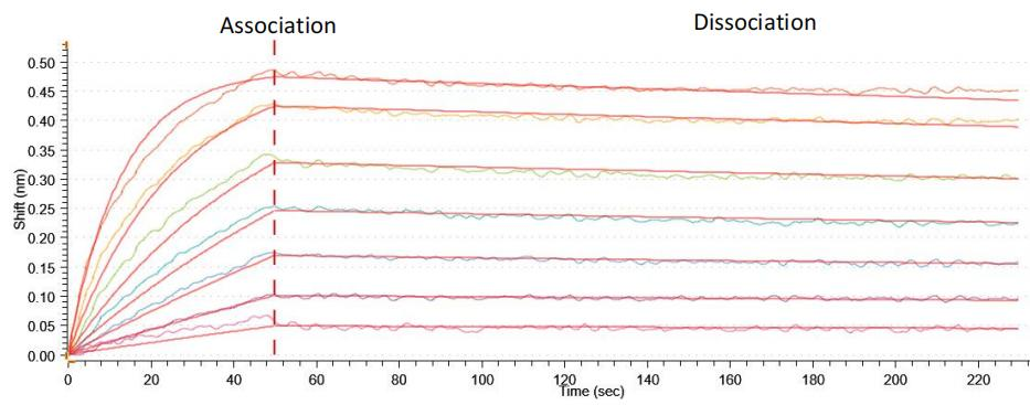 Recombinant Human Glypican-3 (GPC3) (S359F), partial (Active)