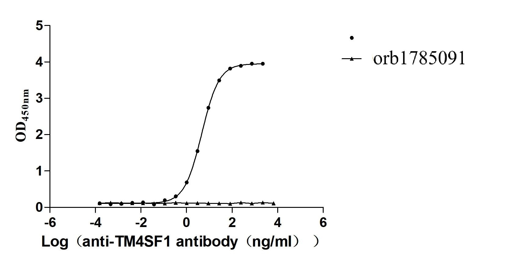 Recombinant Macaca fascicularis Transmembrane 4 L6 family member 1 (TM4SF1)-VLPs (Active)