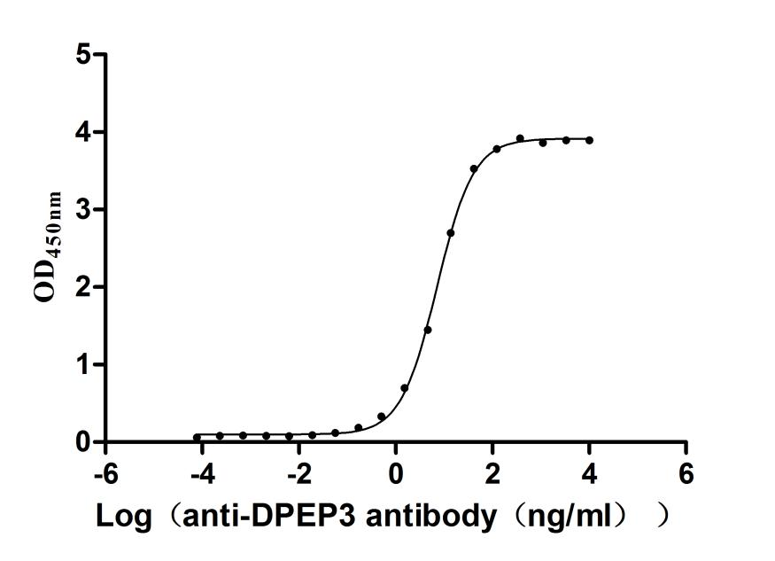 Recombinant Human Dipeptidase 3 (DPEP3), partial (Active)