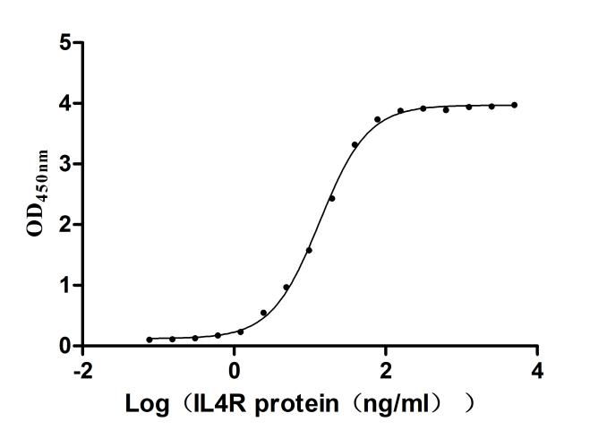 Recombinant Human Interleukin-4 receptor subunit alpha (IL4R), partial, Biotinylated (Active)