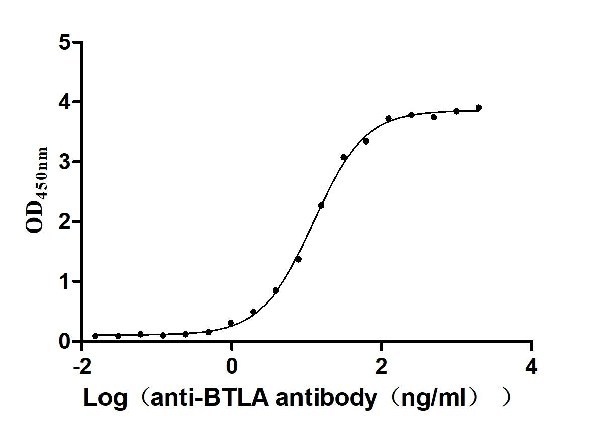 Recombinant Human B- and T-lymphocyte attenuator (BTLA), partial (Active)