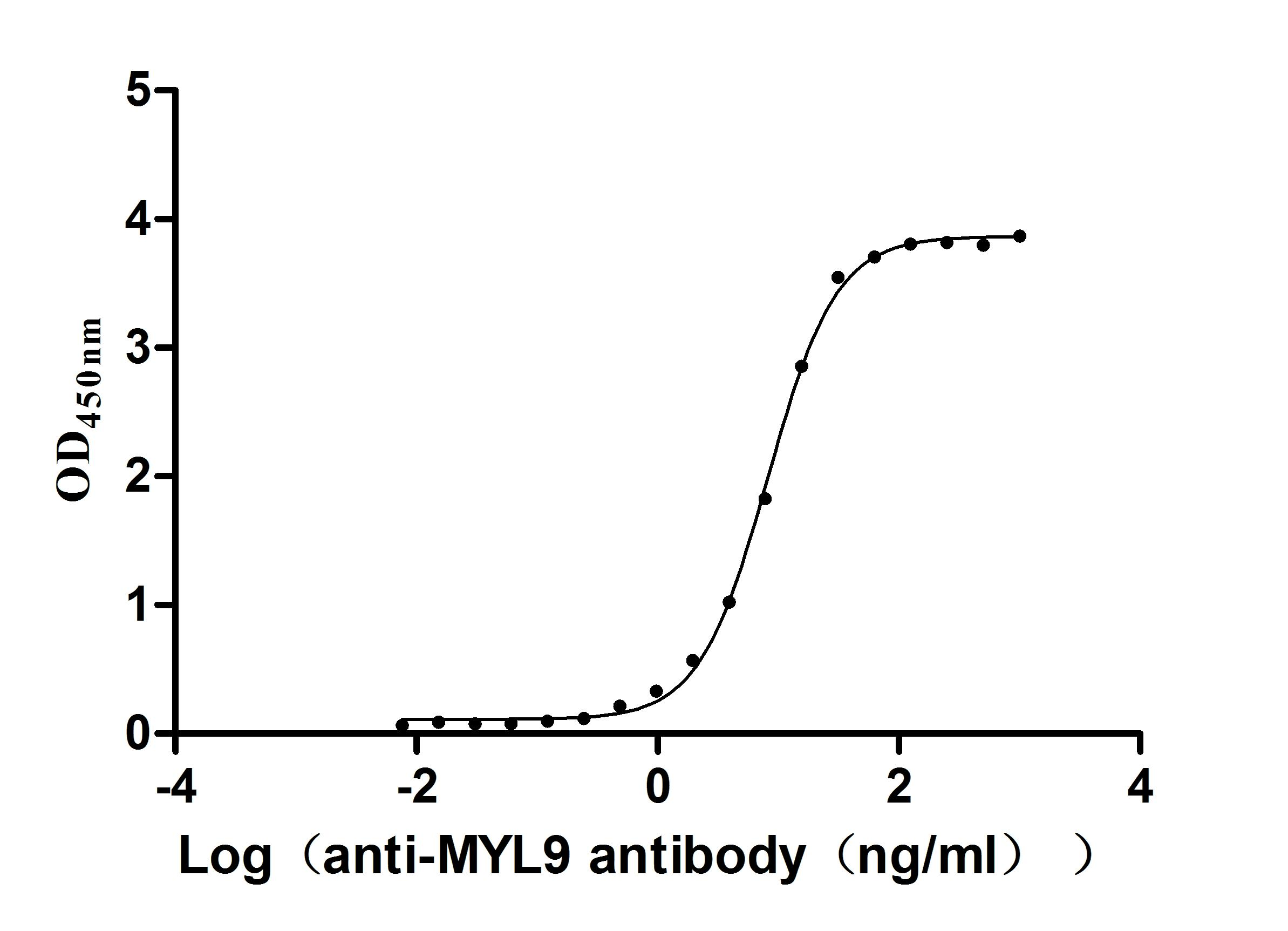Recombinant Human Myosin regulatory light chain 12B (MYL12B) (Active)