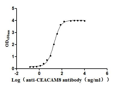 Recombinant Human Carcinoembryonic antigen-related cell adhesion molecule 8 (CEACAM8) (Active)
