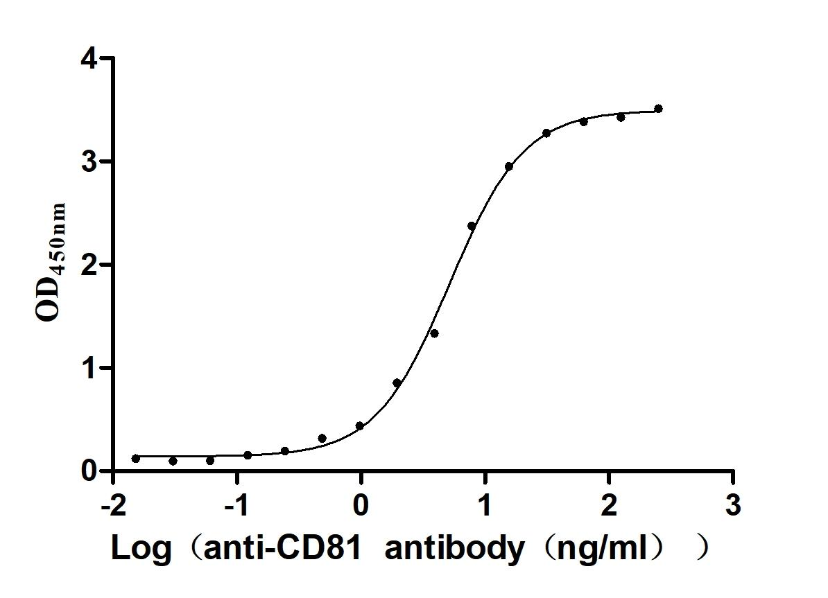 Recombinant Human CD81 antigen (CD81), partial (Active)